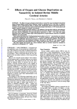 Effects of Oxygen and Glucose Deprivation on Vasoactivity in