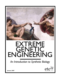 Extreme Genetic Engineering: An Introduction to Synthetic