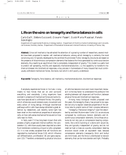 Life on the wire: on tensegrity and force balance in cells