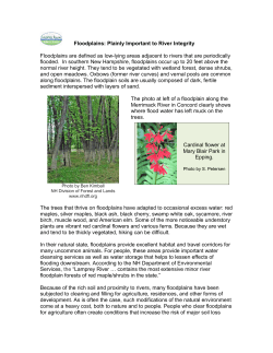 Floodplains: Plainly Important to River Integrity Floodplains are