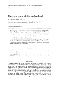 Three new genera of lichenicolous fungi