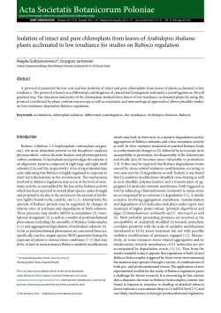 Isolation of intact and pure chloroplasts from leaves of Arabidopsis
