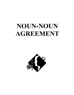 NOUN-NOUN AGREEMENT