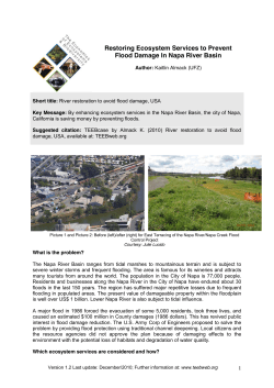 Restoring Ecosystem Services to Prevent Flood Damage In