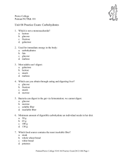 Unit 04 Practice Exam: Carbohydrates