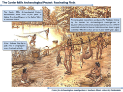 The Carrier Mills Archaeological Project