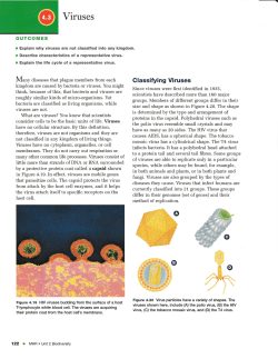 Section 4.3 Viruses File