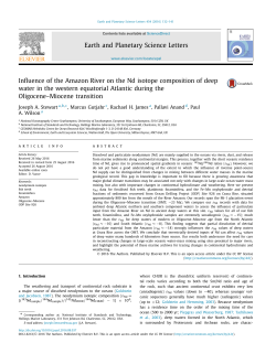 Influence of the Amazon River on the Nd isotope composition of