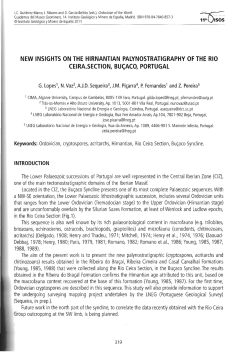 Fotografia de p&aacute;gina completa