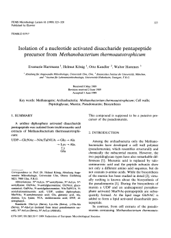 Isolation of a nucleotide activated disaccharide pentapeptide