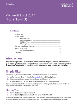 Microsoft Excel 2013 Filters