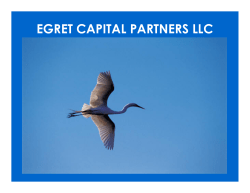 Egret Brochure - Egret Capital Partners