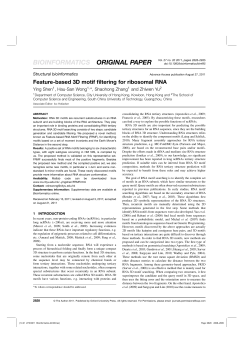 Feature-based 3D motif filtering for ribosomal RNA