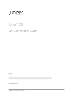 LDP Configuration Guide