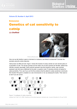 Genetics of cat sensitivity to catnip