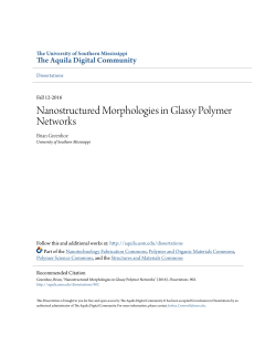 nanostructured morphologies in glassy polymer networks
