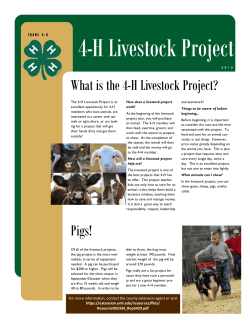 4-H Livestock Project - AgriLife Extension County Offices