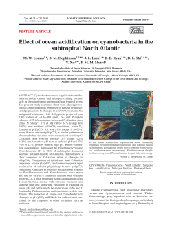 Effect of ocean acidification on cyanobacteria in the subtropical