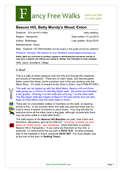 Beacon Hill, Betty Mundy`s Wood, Exton