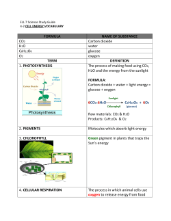 ELL 7 4-2 Study Guide