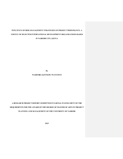 influence of risk management strategies on project