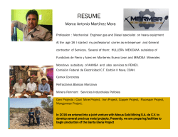RESUME - Mexus Gold US