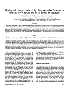 Histological changes induced by Rotylenchulus borealis on corn