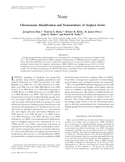 Chromosome Identification and Nomenclature of Sorghum bicolor