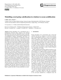 Modelling coral polyp calcification in relation to
