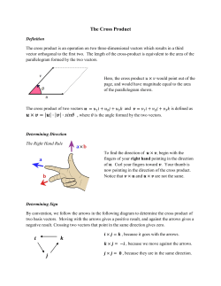 The Cross Product - Rose