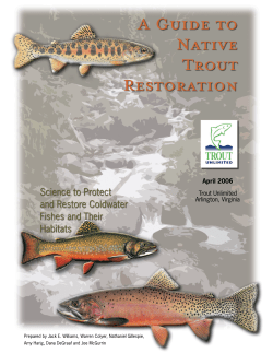 A Guide to Native Trout Restoration