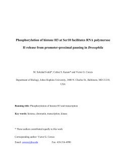 Phosphorylation of histone H3 at Ser10 facilitates RNA polymerase