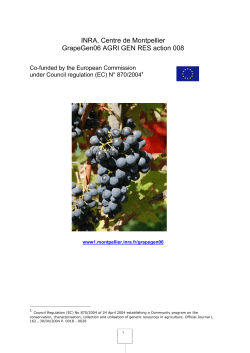 executive summary - INRA Montpellier