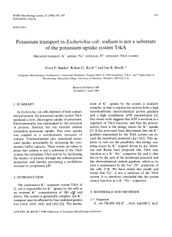 Potassium transport in Escherichia coli: sodium is not a substrate of