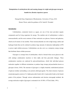 Doan_HonorsThesis - The University of Texas at Austin