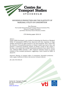 Household Production and the Elasticity of Marginal Utility of