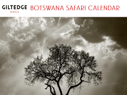 botswana safari guide