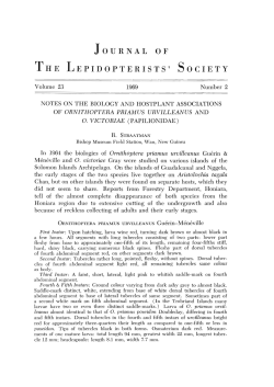 Notes on the biology and hostplant associations of Ornithoptera