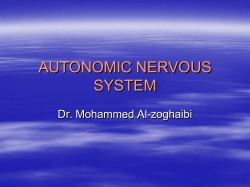 autonomic nervous system
