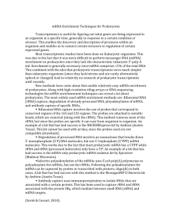 mRNA Enrichment Techniques for Prokaryotes Transcriptomics is