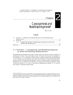 Carpogenesis and Basidiosporogenesis