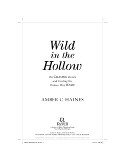 Hollow - Amber C Haines