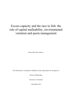 Excess capacity and the race to fish: the role of capital malleability