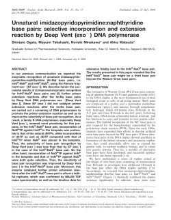 Unnatural imidazopyridopyrimidine:naphthyridine base pairs