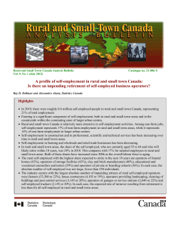 A profile of self-employment in rural and small town