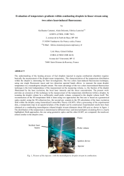 Evaluation of temperature gradients within combusting