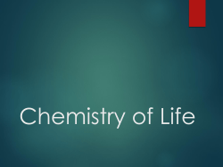 Chemistry of Life PowerPoint