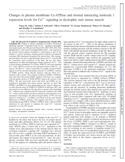Changes in plasma membrane Ca-ATPase and stromal - AJP-Cell