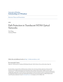 Path Protection in Translucent WDM Optical Networks