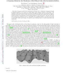 A Gaussian model for the membrane of red blood cells with